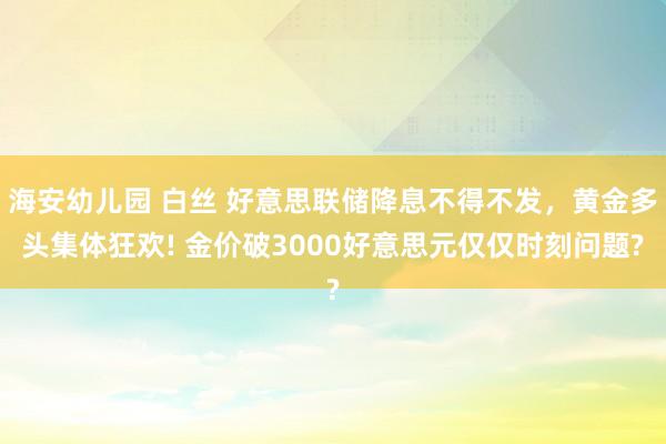 海安幼儿园 白丝 好意思联储降息不得不发，黄金多头集体狂欢! 金价破3000好意思元仅仅时刻问题?
