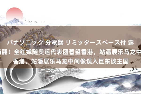パナソニック 分電盤 リミッタースペース付 露出・半埋込両用形 萌翻！全红婵随奥运代表团看望香港，站潘展乐马龙中间像误入巨东谈主国