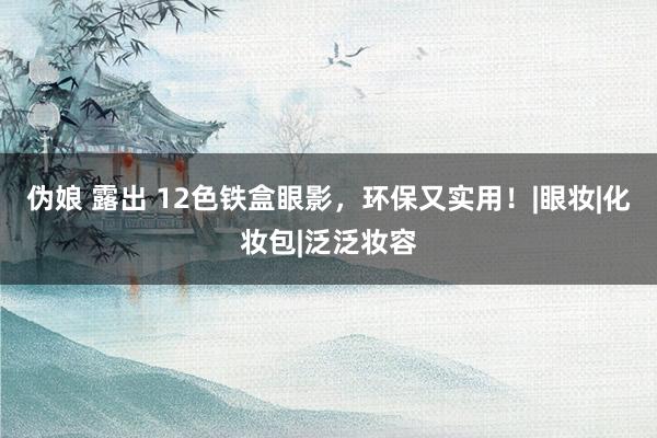 伪娘 露出 12色铁盒眼影，环保又实用！|眼妆|化妆包|泛泛妆容