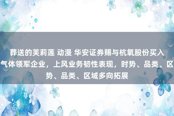 葬送的芙莉莲 动漫 华安证券赐与杭氧股份买入评级，工业气体领军企业，上风业务韧性表现，时势、品类、区域多向拓展