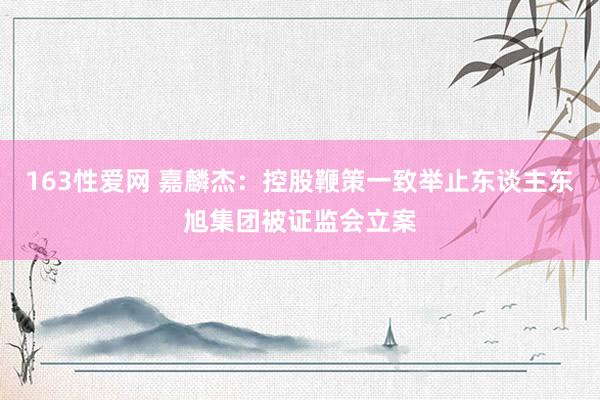 163性爱网 嘉麟杰:控股鞭策一致举止东谈主东旭集团被证监会立案