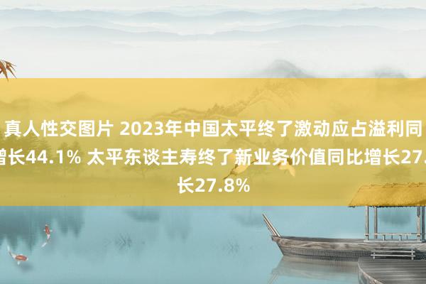 真人性交图片 2023年中国太平终了激动应占溢利同比增长44.1% 太平东谈主寿终了新业务价值同比增长27.8%