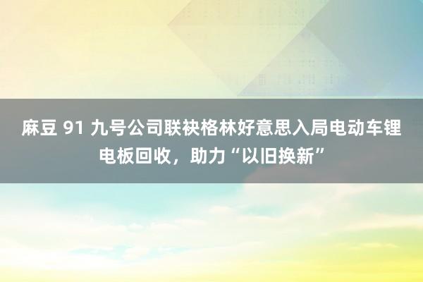 麻豆 91 九号公司联袂格林好意思入局电动车锂电板回收，助力“以旧换新”