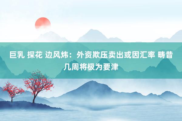 巨乳 探花 边风炜：外资欺压卖出或因汇率 畴昔几周将极为要津