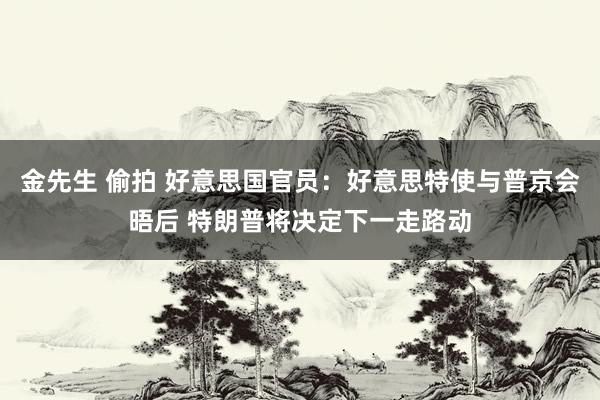 金先生 偷拍 好意思国官员：好意思特使与普京会晤后 特朗普将决定下一走路动