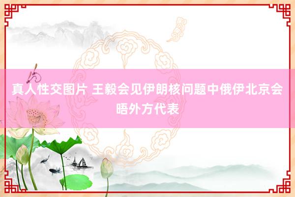 真人性交图片 王毅会见伊朗核问题中俄伊北京会晤外方代表