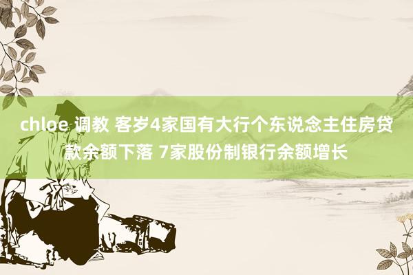 chloe 调教 客岁4家国有大行个东说念主住房贷款余额下落 7家股份制银行余额增长